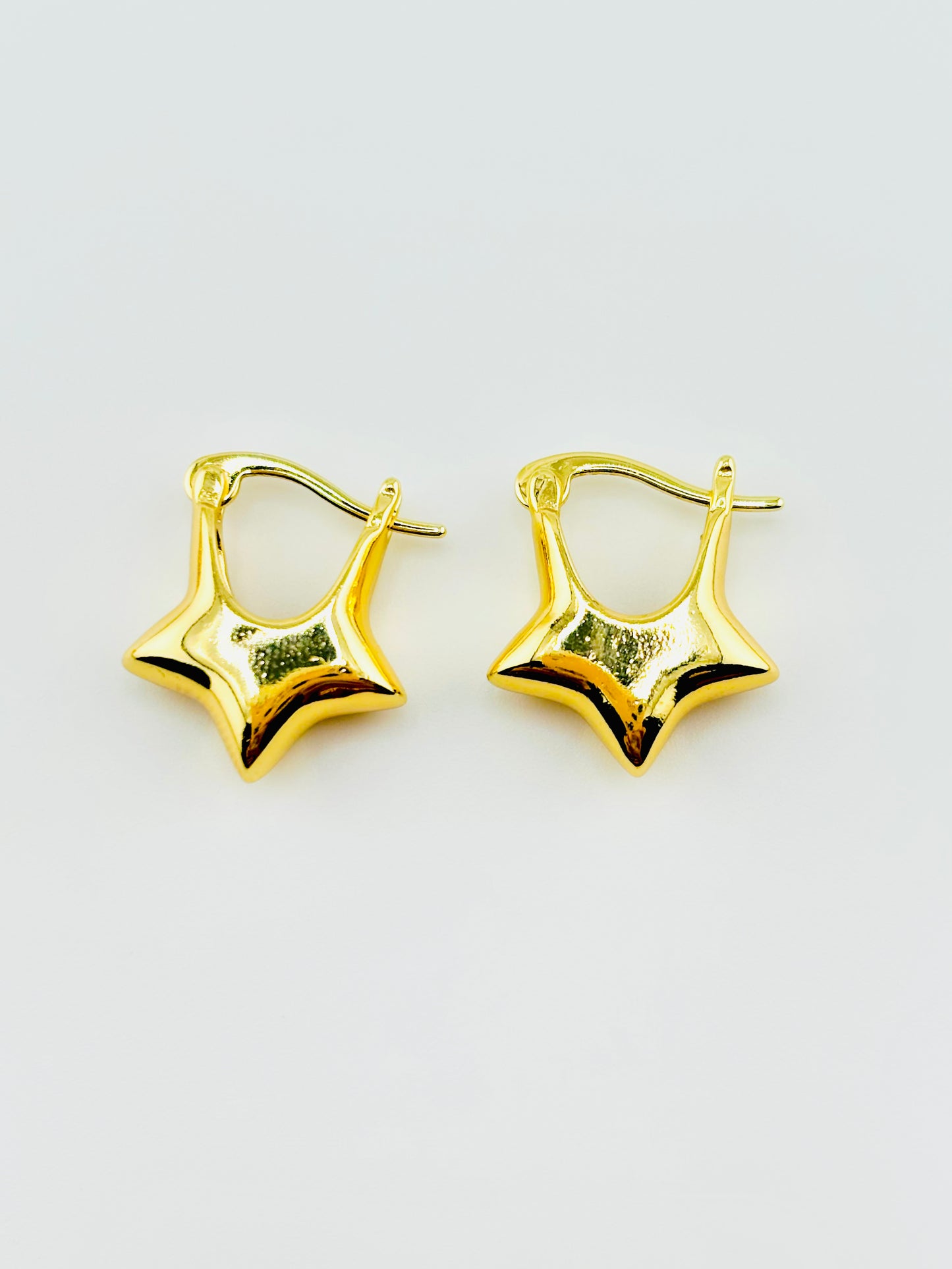 Santina 18k gold filled earrings