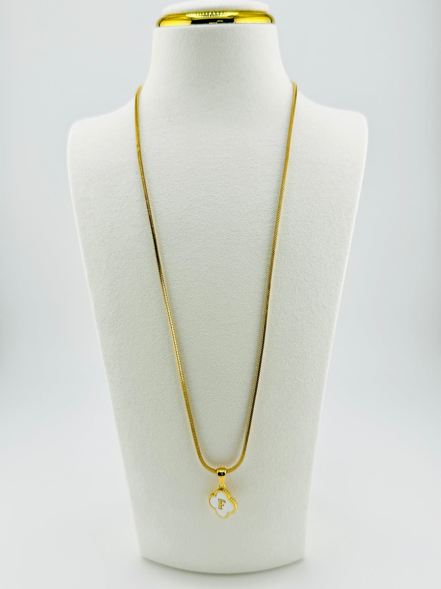 F initial necklace in stainless steel