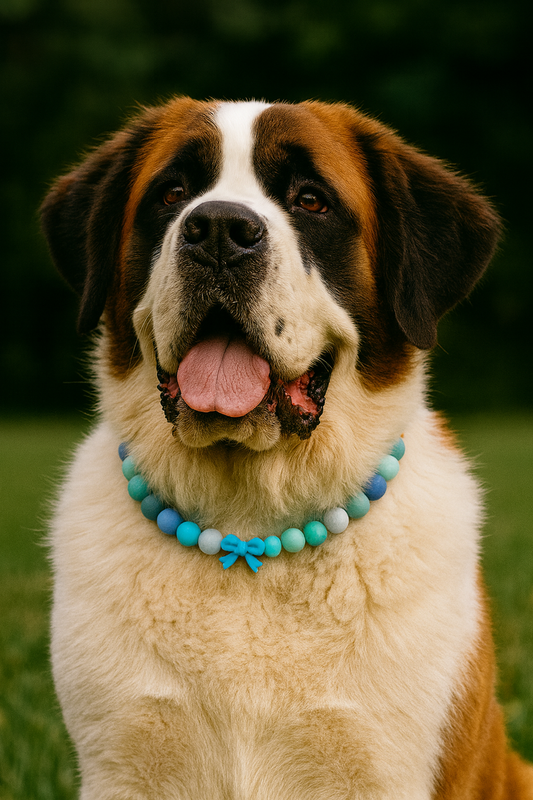 Custom Made Pet Necklaces Size 4X (22-24 inches)