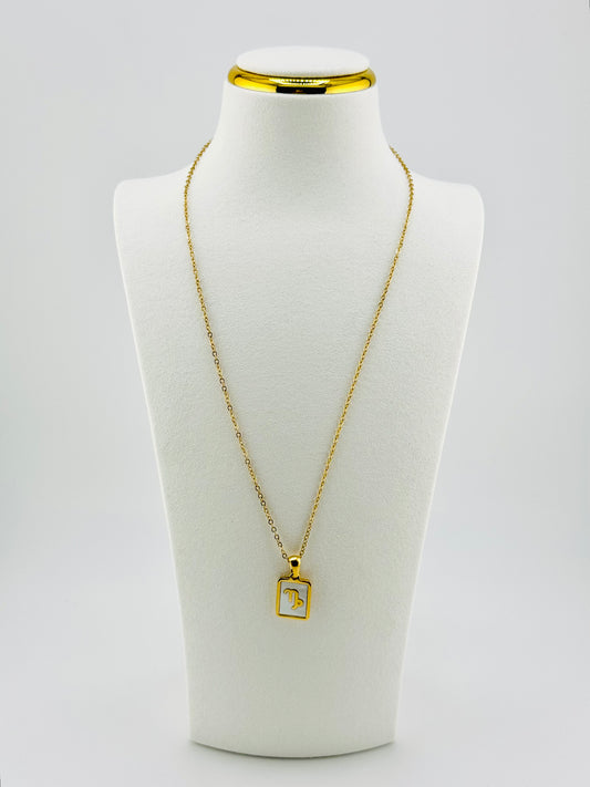 Capricorn gold filled zodiac sign necklace