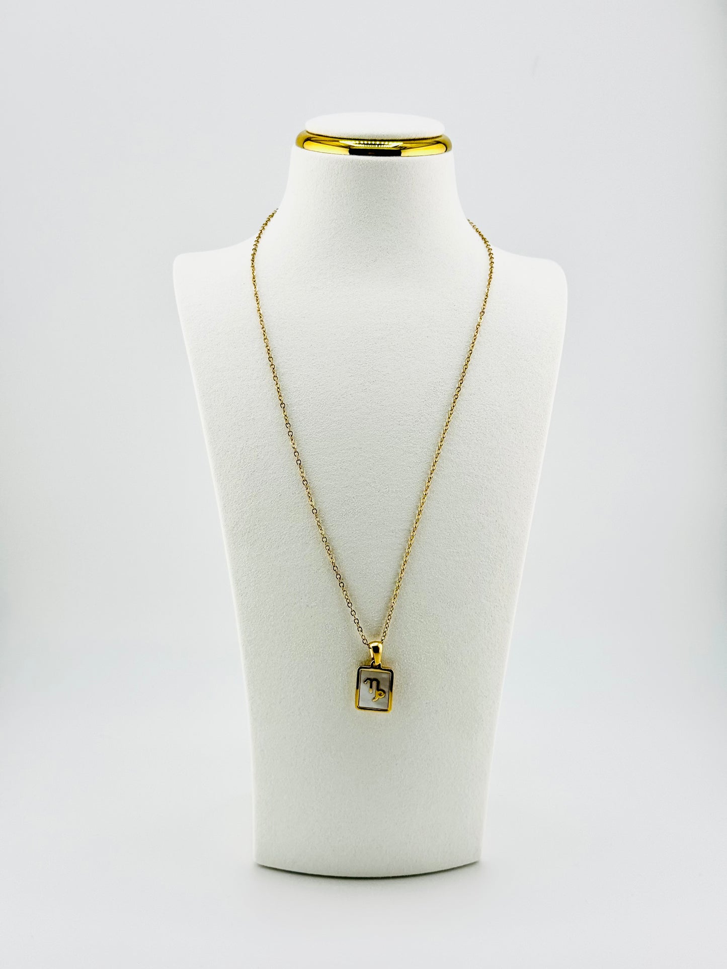Capricorn gold filled zodiac sign necklace