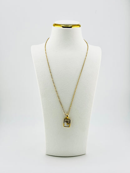 Capricorn gold filled zodiac sign necklace