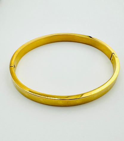 Sophie stainless steel bangle bracelet